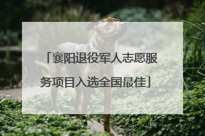 襄阳退役军人志愿服务项目入选全国最佳