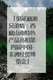 见证藏湘兄弟情：西藏山南特色产品亮相第四届中国-非洲经贸博览会