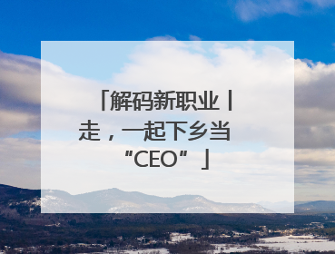 解码新职业丨走，一起下乡当“CEO”