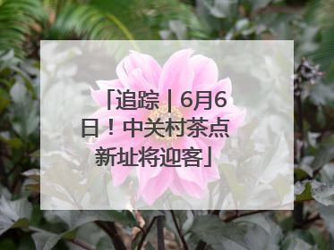 追踪｜6月6日！中关村茶点新址将迎客