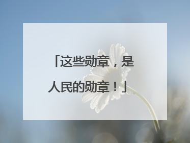 这些勋章，是人民的勋章！