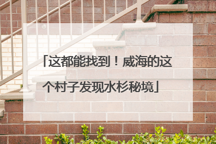 这都能找到！威海的这个村子发现水杉秘境