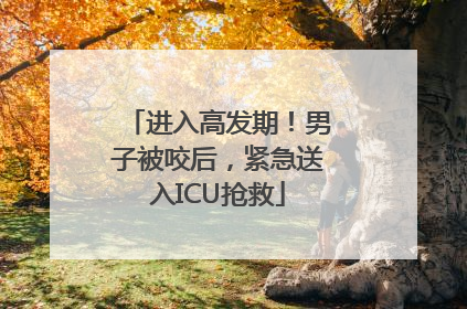 进入高发期！男子被咬后，紧急送入ICU抢救