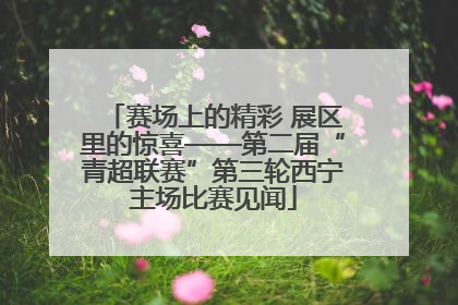赛场上的精彩 展区里的惊喜——第二届“青超联赛”第三轮西宁主场比赛见闻