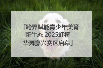 跨界赋能青少年美育新生态 2025虹桥华舞嘉兴赛区启幕