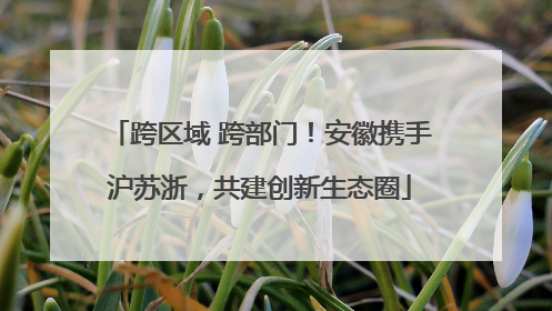 跨区域 跨部门！安徽携手沪苏浙，共建创新生态圈
