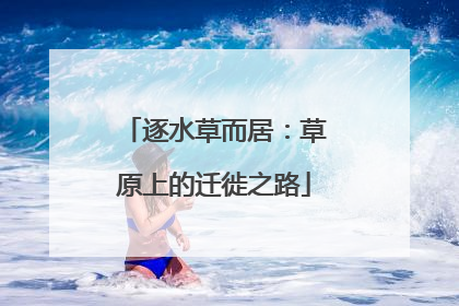 逐水草而居：草原上的迁徙之路
