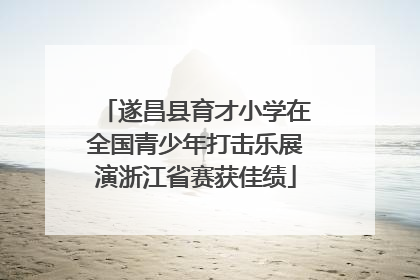 遂昌县育才小学在全国青少年打击乐展演浙江省赛获佳绩