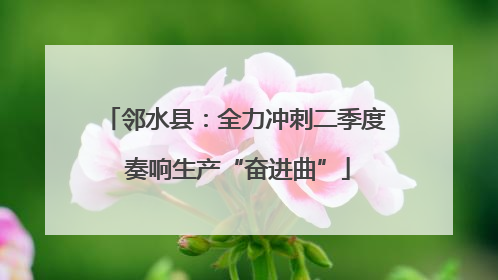 邻水县：全力冲刺二季度 奏响生产“奋进曲”