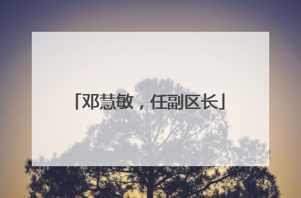 邓慧敏，任副区长