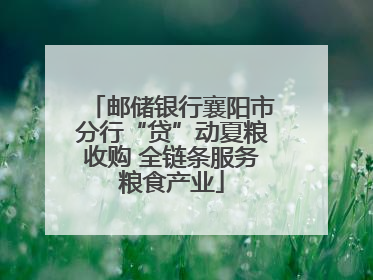 邮储银行襄阳市分行“贷”动夏粮收购 全链条服务粮食产业