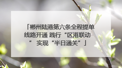 郴州陆港第六条全程提单线路开通 践行“区港联动” 实现“半日通关”