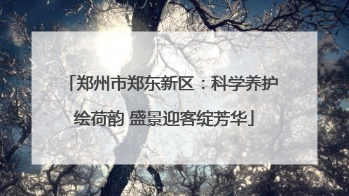 郑州市郑东新区：科学养护绘荷韵 盛景迎客绽芳华