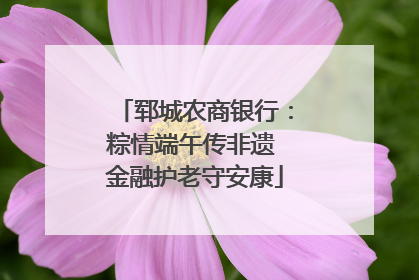 郓城农商银行：粽情端午传非遗 金融护老守安康