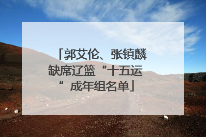 郭艾伦、张镇麟缺席辽篮“十五运”成年组名单