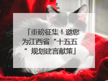重磅征集！邀您为江西省“十五五”规划建言献策
