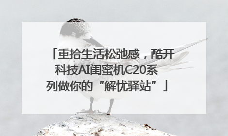 重拾生活松弛感，酷开科技AI闺蜜机C20系列做你的“解忧驿站”