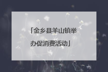金乡县羊山镇举办促消费活动