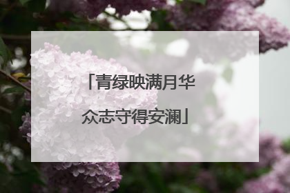 青绿映满月华 众志守得安澜