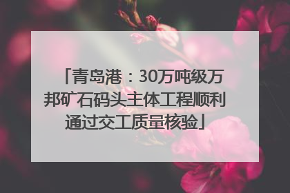 青岛港：30万吨级万邦矿石码头主体工程顺利通过交工质量核验