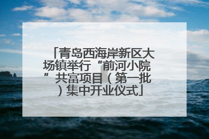 青岛西海岸新区大场镇举行“前河小院”共富项目（第一批）集中开业仪式