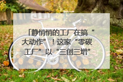 静悄悄的工厂在搞“大动作”！这家“零碳工厂”以“三创三增”探索共富新路径｜网络名人四川行