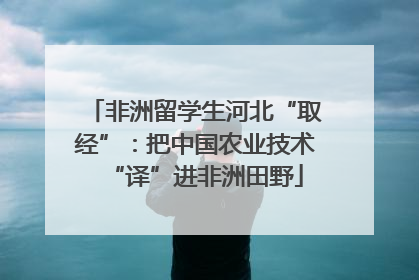 非洲留学生河北“取经”：把中国农业技术“译”进非洲田野