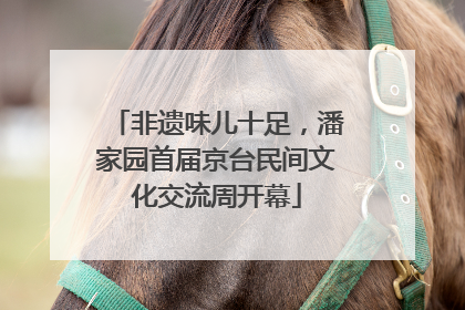 非遗味儿十足，潘家园首届京台民间文化交流周开幕