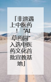 非遗遇上中医药！“AI草药园”入选中医药文化首批宣教基地