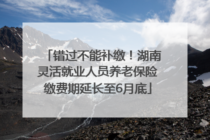 错过不能补缴！湖南灵活就业人员养老保险缴费期延长至6月底