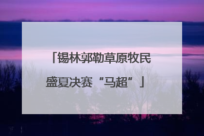 锡林郭勒草原牧民盛夏决赛“马超”