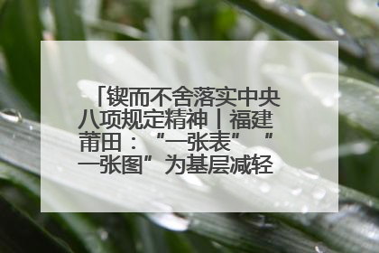 锲而不舍落实中央八项规定精神丨福建莆田：“一张表”“一张图”为基层减轻“数字负担”