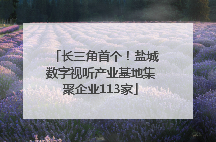 长三角首个！盐城数字视听产业基地集聚企业113家