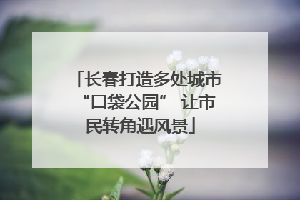 长春打造多处城市“口袋公园” 让市民转角遇风景