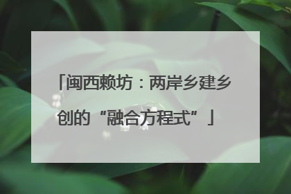 闽西赖坊：两岸乡建乡创的“融合方程式”