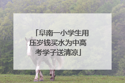 阜南一小学生用压岁钱买水为中高考学子送清凉