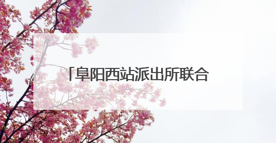 阜阳西站派出所联合铁路部门开展 “5·26 我爱路” 法治安全宣传活动