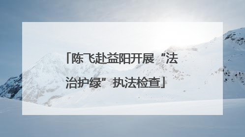 陈飞赴益阳开展“法治护绿”执法检查