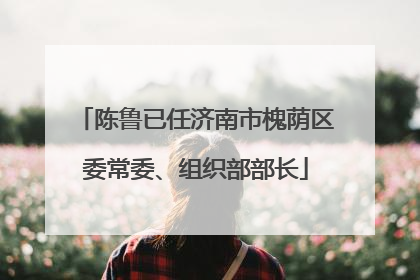 陈鲁已任济南市槐荫区委常委、组织部部长
