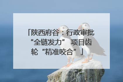 陕西府谷：行政审批“全链发力” 项目齿轮“精准咬合”