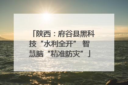 陕西：府谷县黑科技“水利全开” 智慧脑“精准防灾”