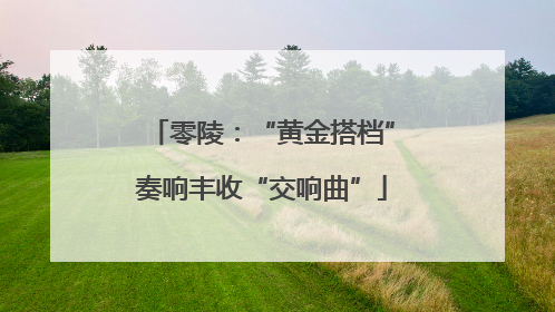 零陵：“黄金搭档”奏响丰收“交响曲”