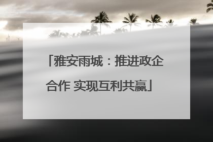 雅安雨城：推进政企合作 实现互利共赢