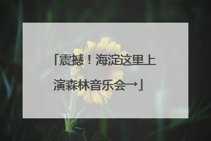 震撼！海淀这里上演森林音乐会→