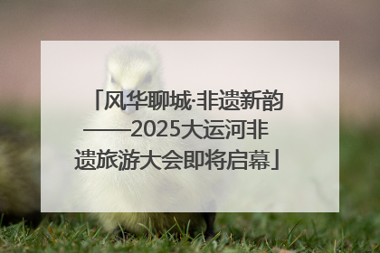 风华聊城·非遗新韵——2025大运河非遗旅游大会即将启幕