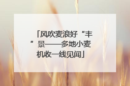 风吹麦浪好“丰”景——多地小麦机收一线见闻