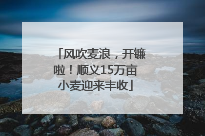 风吹麦浪，开镰啦！顺义15万亩小麦迎来丰收