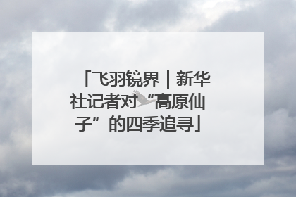 飞羽镜界｜新华社记者对“高原仙子”的四季追寻