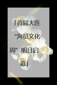 首届大连“海员文化周”明日启幕