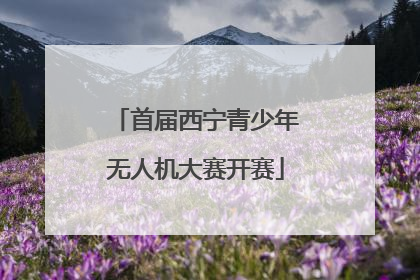 首届西宁青少年无人机大赛开赛